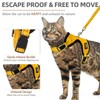 PUPTECK Cat Harness and Leash Set Escape Proof, Reflective Adjustable