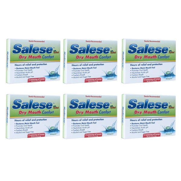 Salese Wintergreen with Xylitol for Dry Mouth Relief - 6 Pack