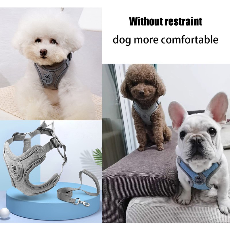 SKXEO Small Dog No Pull Harness & Lead Set -