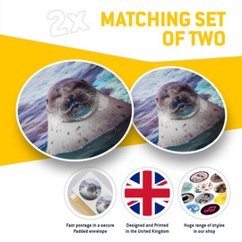 2 x 20cm Vinyl Stickers - Sleepy Seal Ocean Marine Decals 14503