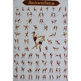 Muay Thai Training Sport Poster 78 Cm X 54 Cm