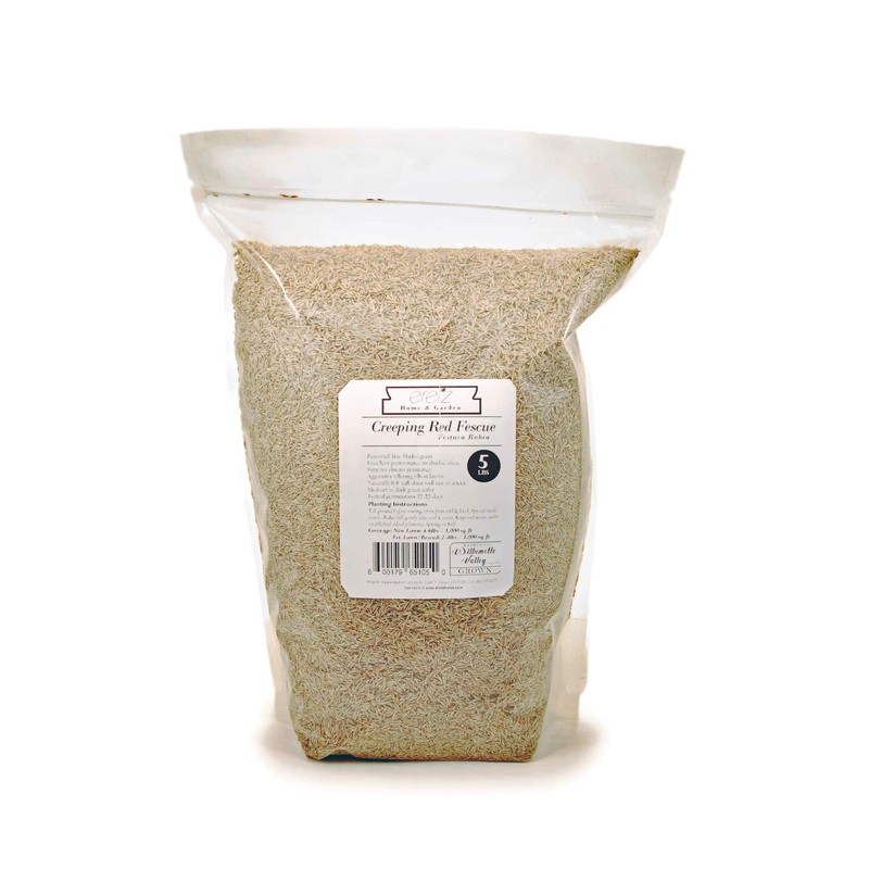 Creeping Red Fine Fescue Seed by Eretz (5lb) - Choose