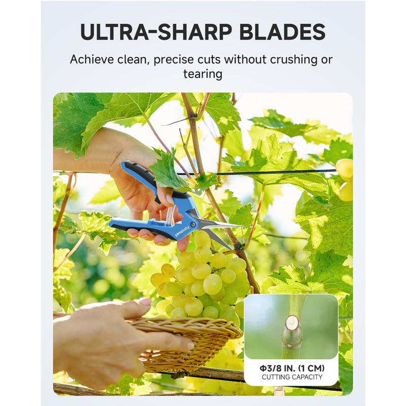 Fondwell 6.5" Garden Scissors Plant Shears: Micro Tip Pruning Shears