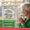 Window Bird Feeder with Strong Suction Cups - (Upgraded 2026