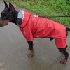 Four-Legged Full Coverage Waterproof Dog Raincoat with Reflective Features Pet