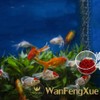 4 Pcs Aquarium Feeder Cup Feeder Acrylic Automatic Feeder Red