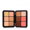 HD Skin All In One Palette - Harmony 1 by