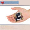 Destination Vinyl ltd Fridge Magnet - Miniature Schnauzer Dog Puppy