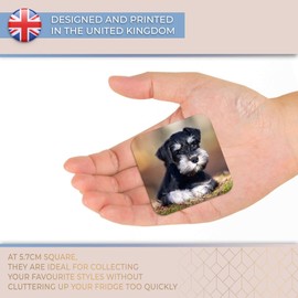 Destination Vinyl ltd Fridge Magnet - Miniature Schnauzer Dog Puppy 15550