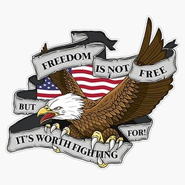HOF Trading Amerian Pride Merica Patriotic Freedom is Not Free But Worth Fighting for Bald Eagle Vinyl Sticker Waterproof Decal Laptop Wall Window Bumper Sticker 5 (HOF-VETERAN-STICKERS-5167)