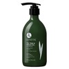 Luseta Tea Tree Shampoo with Argan Oil 16.9 Fl oz-