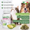 Trebifarma Diurecor Forte Cani e Gatti, Supporto Intensivo di Reni