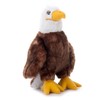 The Petting Zoo Bald Eagle Stuffed Animal, Gifts for Kids,