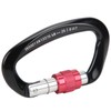Mountaineering D Locking Carabiner Clips Alloy Heavy Duty Carabiner for