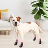 KOOLTAIL Anti Slip Dog Socks for Hot/Cold Pavement to Prevent