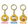 [API] Chiikawa Local Limited Die Cut Key Chain, Shizuoka Limited