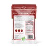 Nature’s Turn Freeze-Dried Fruit Snacks, Apple Cinnamon Crisps, Pack of