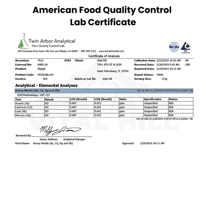 Vital Hill Premium Himalayan Shilajit Resin for Men and Women,