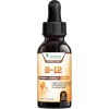 Vitamin B12 Sublingual Liquid Drops 1200mcg Natural Energy Booster (2