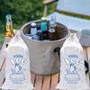 Reusable Ice Cube Bags, Ice Bags for Ice Cubes, Ice