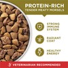Purina ONE Dry Dog Food Lamb and Rice Formula -