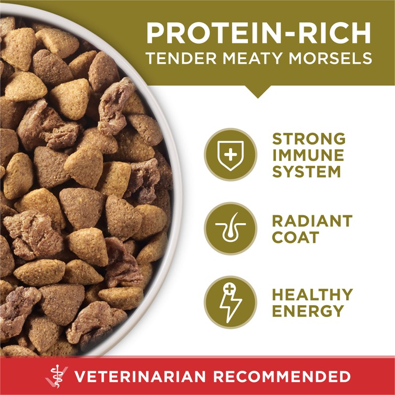 Purina ONE Dry Dog Food Lamb and Rice Formula -