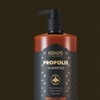 로이스나인 1L Propolis Shampoo/Treatment Kerasis