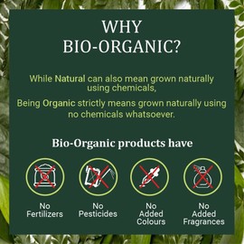 Indus Valley Bio Organic Natural Henna Hair Color For Grey Hairs -100gm (Herbal Henna & Indigo leaf Powder)