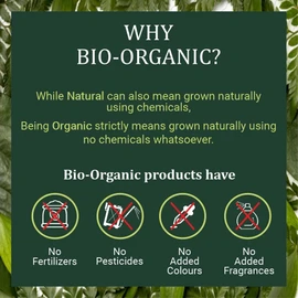 Indus Valley Bio Organic Natural Henna Hair Color For Grey Hairs -100gm (Herbal Henna & Indigo leaf Powder)