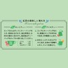Tea Bags Little Leaves Afternoon Tea Organic Darjeelin 20 Bags