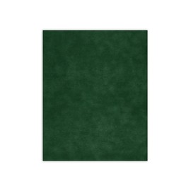 CountryArtHouse Treeline Green Suede Acid Free 16x20 Backing Board - Uncut Photo Mat Board - 1 Sheet