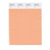 PANTONE Smart 14-1227X Color Swatch Card, Peach