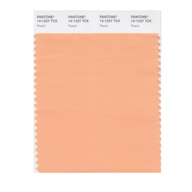 PANTONE Smart 14-1227X Color Swatch Card, Peach