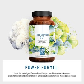NATURTREU® Gedankengut Löwenmähne Pilz & Ginkgo Biloba Komplex - mit Brahmi-Extrakt Cholin & L-Cystein - 120 Kapseln vegan mit 30% Polysaccharide und 5% Beta-Glucane