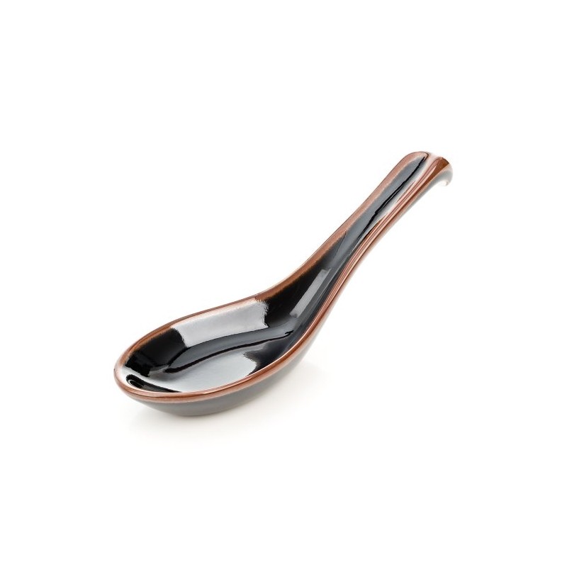 Japanese Black Tenmoku Glazed Ceramic Ramen & Soup Spoon