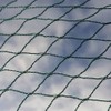 Bird Netting Garden Mesh for Strawberry Fruit Protection Raised Beds