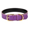 Aolove Basic Classic Padded Leather Pet Collars for Cats Puppy