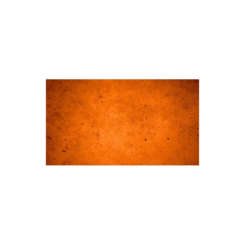 Concrete Resurrection Fast Drying Concrete Stain-Professi