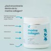 ela nutrition | Marine Collagen | Péptidos bioactivos de colágeno