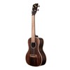 Kala, 4-String Ukulele, Natural, Concert (KA-EBY-C)