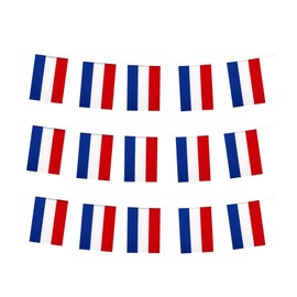 Netherlands Flags Holland Dutch Small String Mini Flag Pennant Banner Decorations