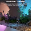 ZYAN 8 Pack 36W Smart Landscape Lights, RGBW Color Changing