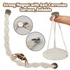 Jumping Spider Rope Bridge Swings with Magnets, Magnetic Jumping Spider