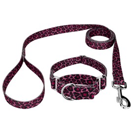 Country Brook Petz - Pink Leopard Print Martingale Dog Collar and Leash - Animal Prints Collection Featuring Wild Designs (5/8 Inch, Small)