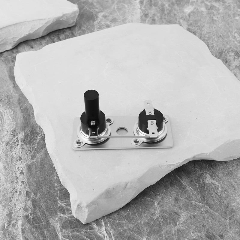 Be In Your Mind Water Heater Switch 120V 232306 Compatible