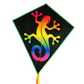 CIM Single Line Dragon, Gradient Eddy Lizard, for Children from 3 Years, Dimensions: 65 x 72 cm, Includes Kite String and Strip Tails