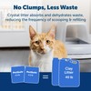 PetSafe ScoopFree Premium Crystal Cat Litter - Outperforms Clay Litter