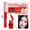 Huxia Beauty Set De 12 Tintas Matte Para Labios Huxia