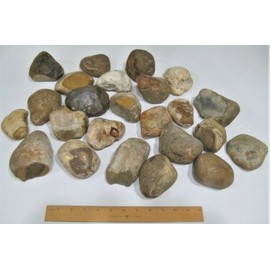 23 Lbs FLINT CHERT Stone for Flint & Steel Fire Starter Arrow Knapping FREE SHIP