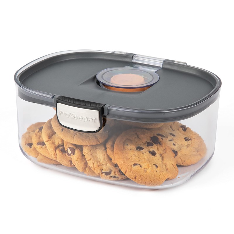 Progressive ProKeeper International Airtight Food Storage Container with Terracotta Disk